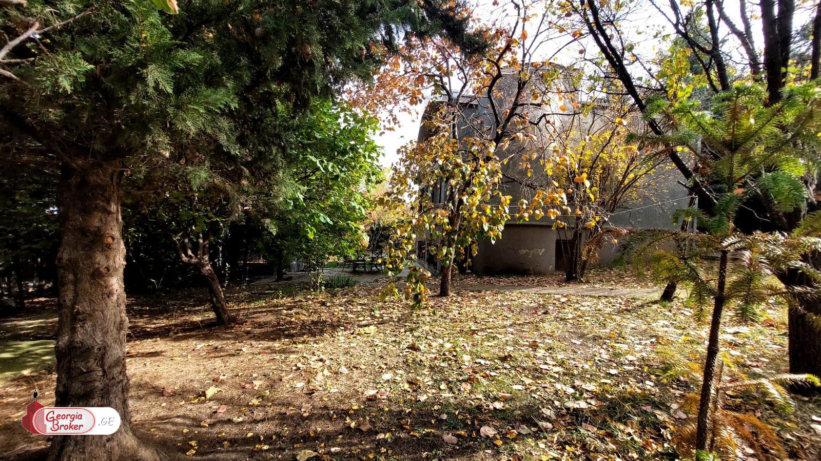 იყიდება ახალი გარემონტებული 5 ოთახიანი სახლი წეროვანში